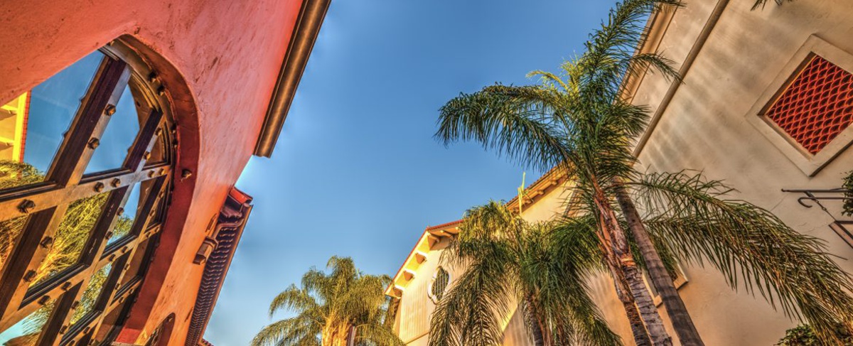 Palm trees and shops